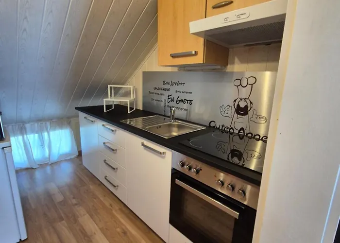 Apartmán Donkey Degersheim